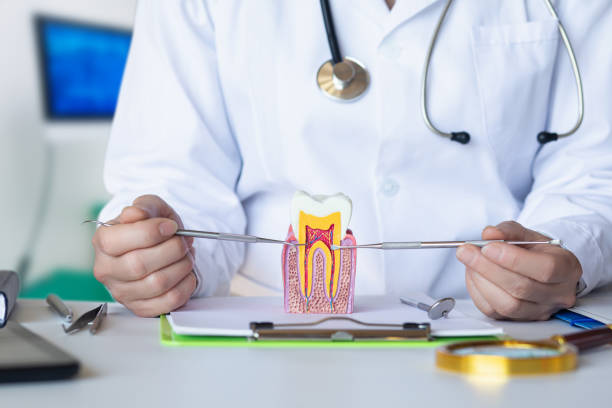 Best Pediatric Emergency Dentist in Perry Hall, MD